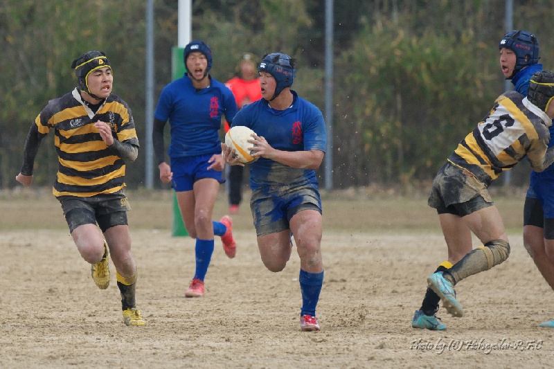DSC08523.jpg