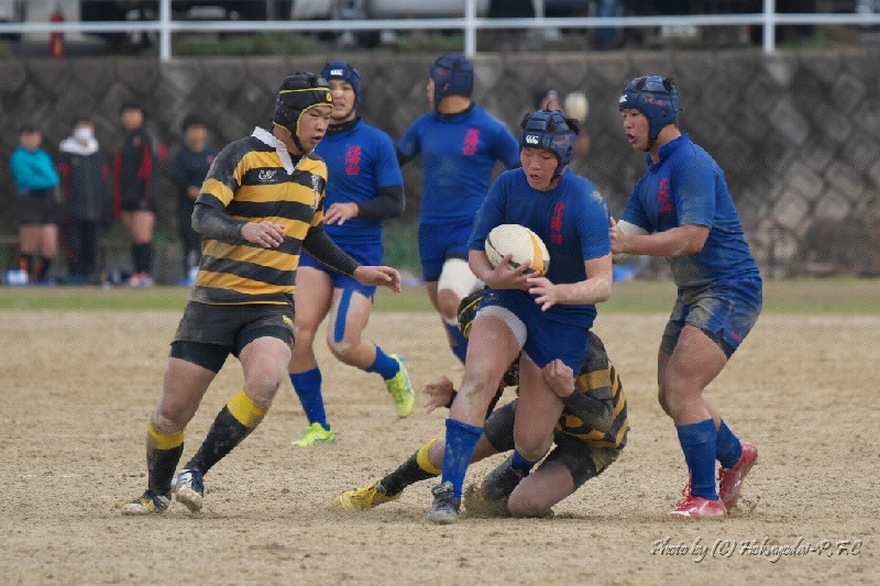 DSC08528.jpg