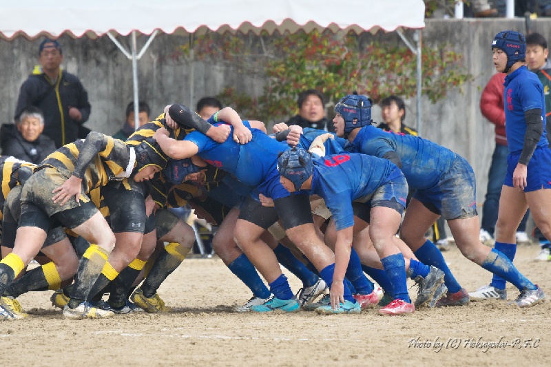 DSC08544.jpg