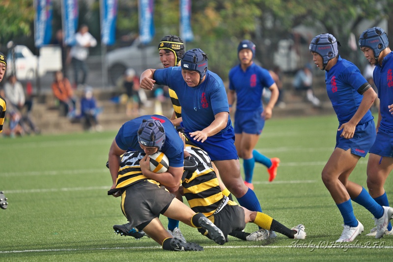 DSC02998.jpg