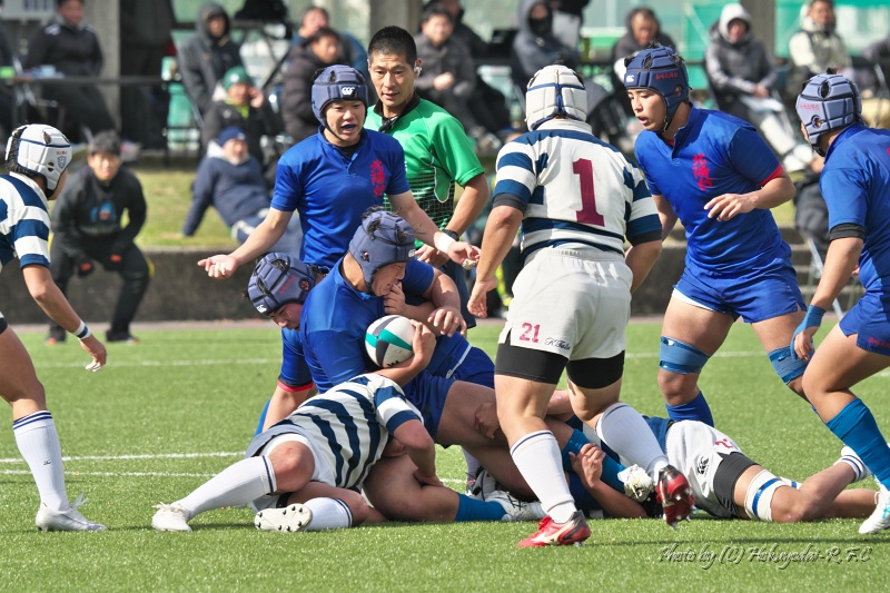 DSC03520.jpg