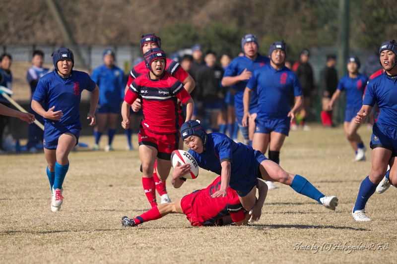 DSC03031.jpg