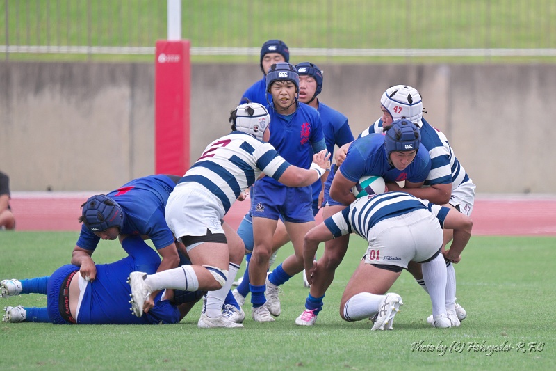 DSC04524.jpg