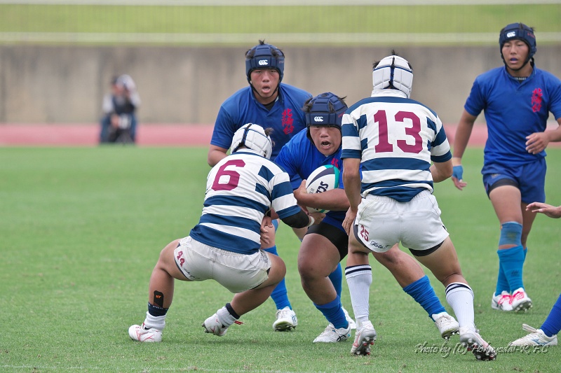 DSC04554.jpg