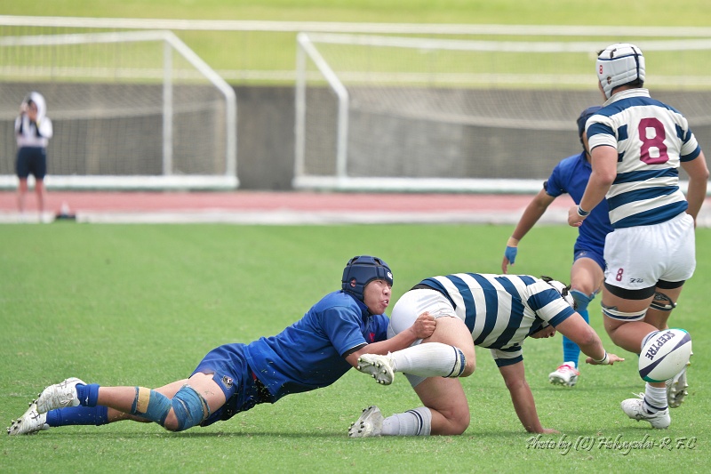 DSC04799.jpg