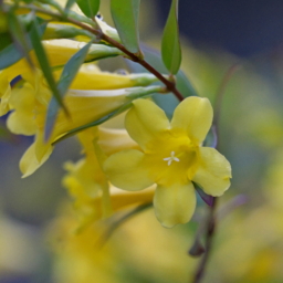Thumbnail of post image 092
