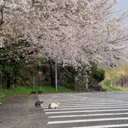 Thumbnail of post image 064