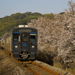 Thumbnail of post image 028