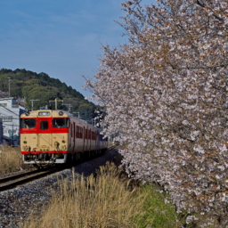 Thumbnail of post image 121