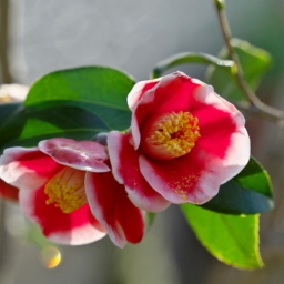 Thumbnail of post image 007