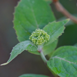 Thumbnail of post image 101