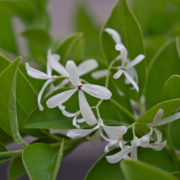 Thumbnail of post image 058