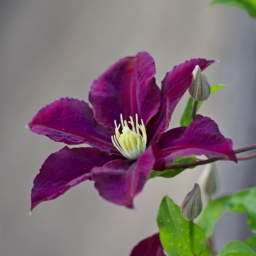 Thumbnail of post image 006