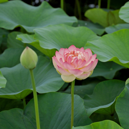 Thumbnail of post image 070