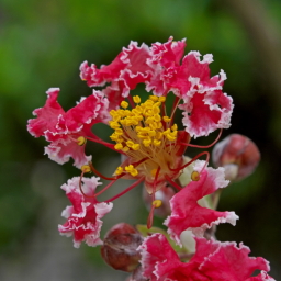Thumbnail of post image 000