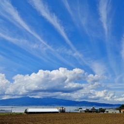 Thumbnail of post image 085