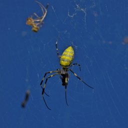 Thumbnail of post image 021