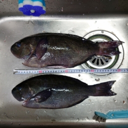 Thumbnail of post image 074