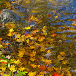 Thumbnail of post image 106