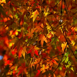 Thumbnail of post image 043