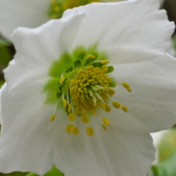 Thumbnail of post image 116