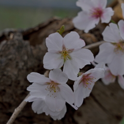 Thumbnail of post image 096