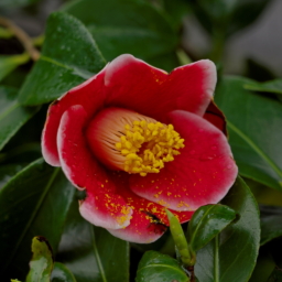 Thumbnail of post image 089