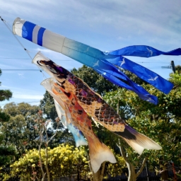 Thumbnail of post image 136