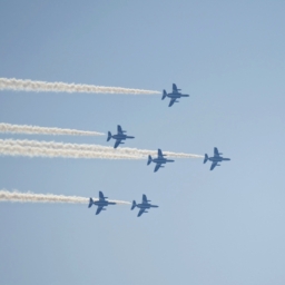 Thumbnail of post image 169