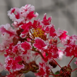 Thumbnail of post image 028