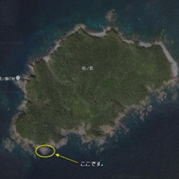 Thumbnail of post image 028