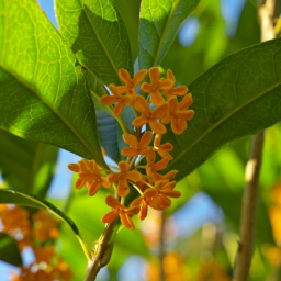 Thumbnail of post image 163