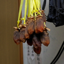 Thumbnail of post image 085
