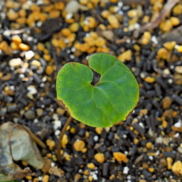 Thumbnail of post image 102