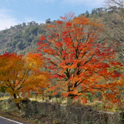 Thumbnail of post image 015