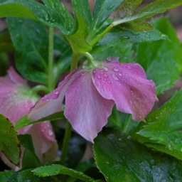 Thumbnail of post image 152