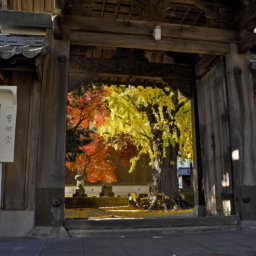 Thumbnail of post image 114