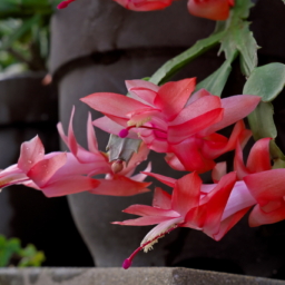 Thumbnail of post image 007