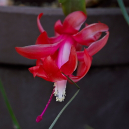 Thumbnail of post image 060