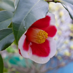 Thumbnail of post image 020