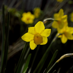 Thumbnail of post image 182