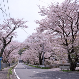 Thumbnail of post image 124