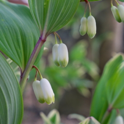 Thumbnail of post image 099