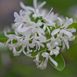 Thumbnail of post image 032