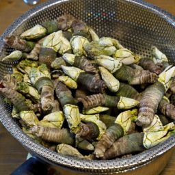 Thumbnail of post image 064