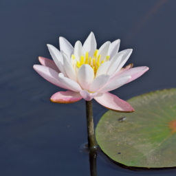 Thumbnail of post image 022