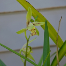 Thumbnail of post image 177
