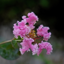 Thumbnail of post image 078