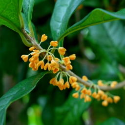 Thumbnail of post image 026