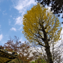Thumbnail of post image 011